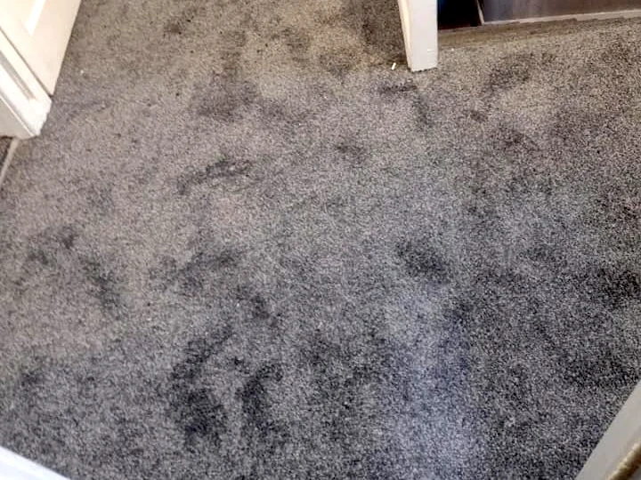 bedroom carpet brown fitted colorful room newcastle foxglove flooring