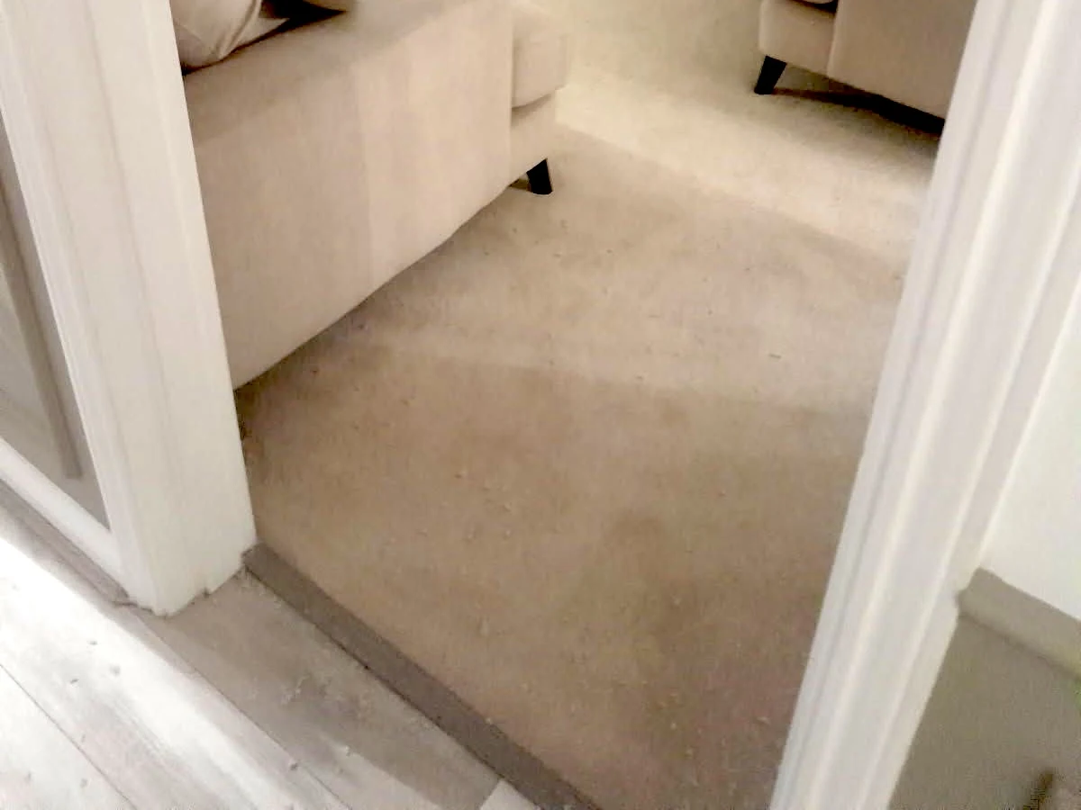 hallway carpet beige aerial view newcastle foxglove flooring