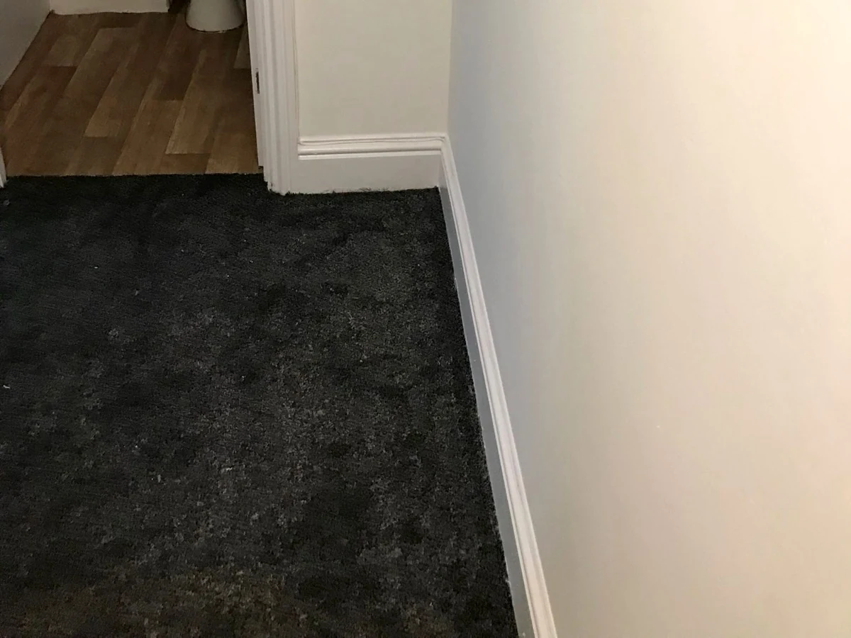 laminate flooring light wood corner fitted newcastle foxglove flooring