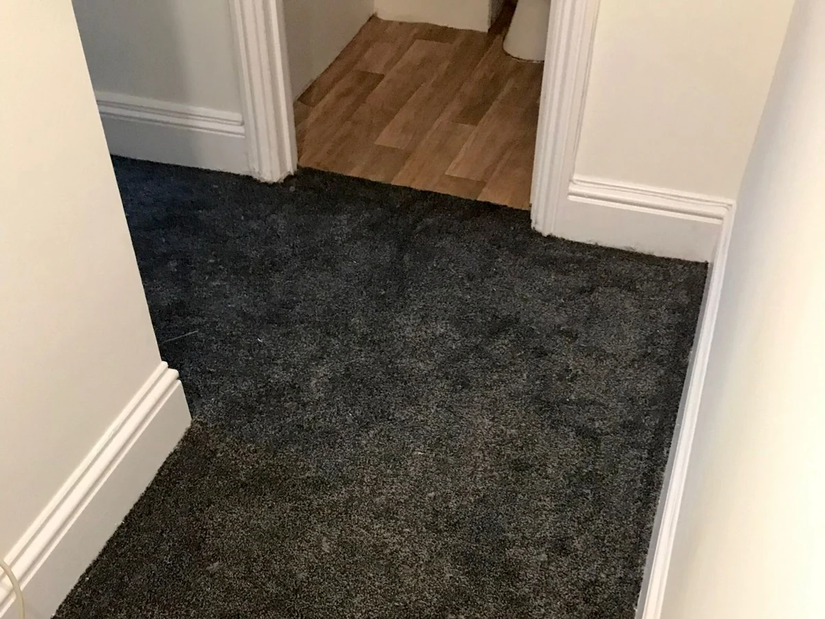 laminate flooring light wood skirting detail newcastle foxglove flooring