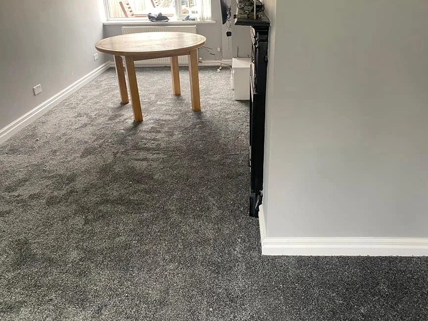living-room-carpet-grey-doorway-view-newcastle-foxglove-flooring living room carpet grey doorway view newcastle foxglove flooring