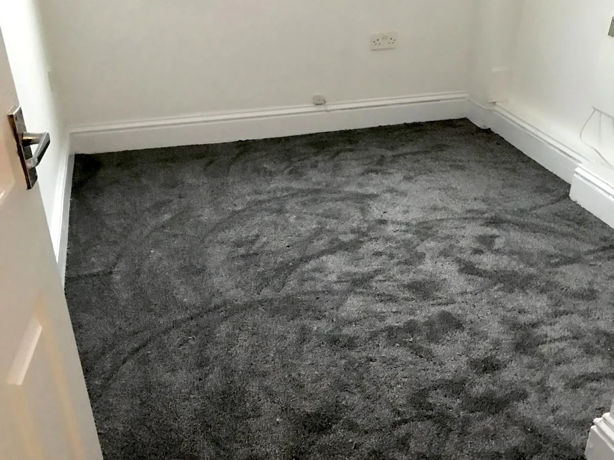room-carpet-charcoal-deep-pile-newcastle-foxglove-flooring Deep-pile charcoal carpet freshly fitted — carpet fitters covering Forest Hall