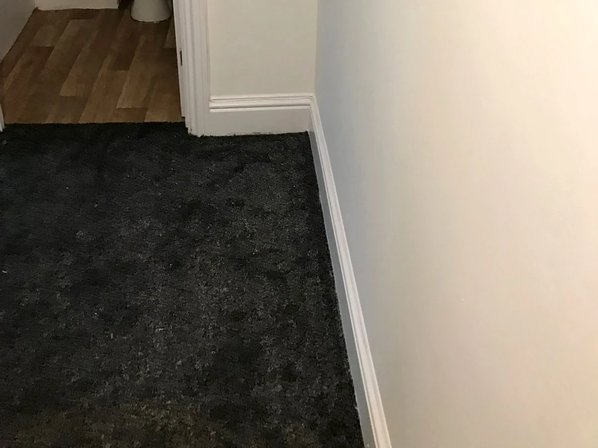 room-carpet-charcoal-wood-doorway-newcastle-foxglove-flooring Charcoal carpet meeting wood flooring at a doorway — carpet fitters covering Forest Hall